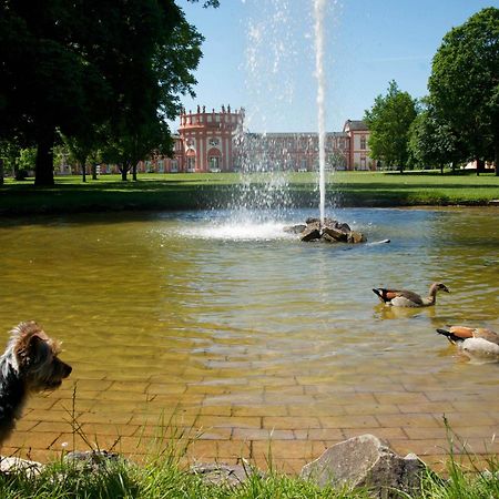 Hotel Am Schlosspark , Wiesbaden Exterior photo